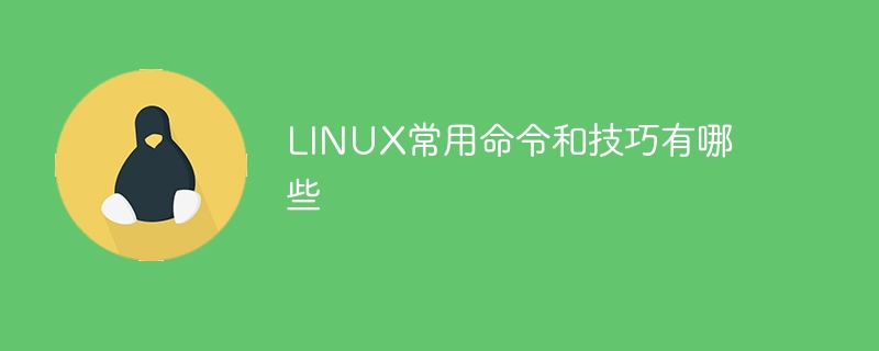 LINUX常用命令和技巧有哪些 - 小浪云数据