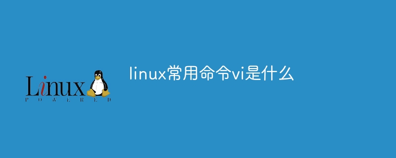 linux常用命令vi是什么