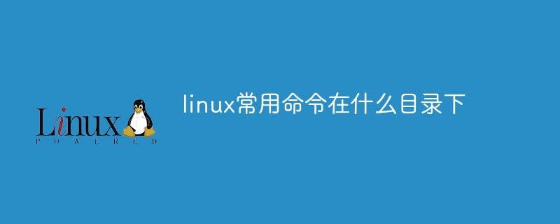 linux常用命令在什么目錄下