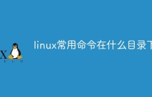 linux常用命令在什么目录下