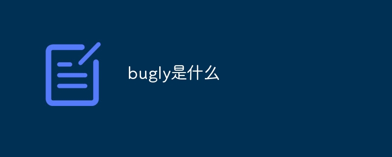 bugly是什么 - 小浪云數據