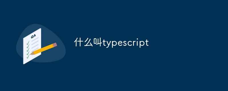 什么叫typescript