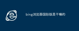 bing浏览器国际版是干嘛的