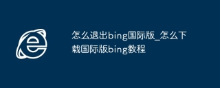 怎么退出bing国际版_怎么下载国际版bing教程