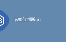 js如何判断url