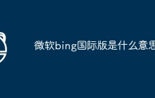 微软bing国际版是什么意思
