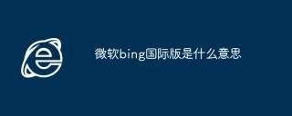 微软bing国际版是什么意思