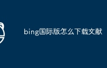 bing国际版怎么下载文献