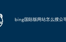 bing国际版网站怎么搜公司