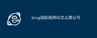 bing国际版网站怎么搜公司