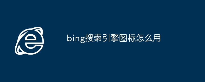 bing搜索引擎图标怎么用