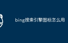 bing搜索引擎图标怎么用