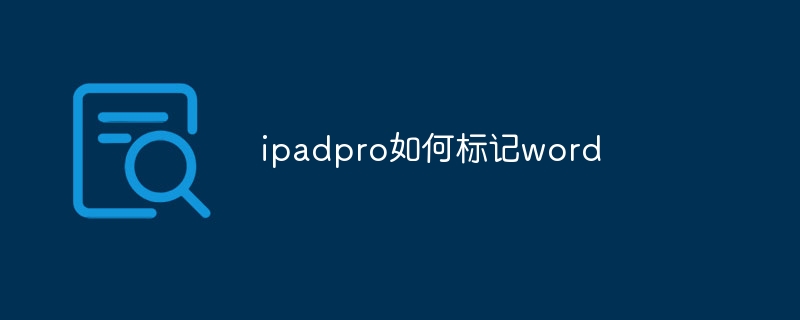 ipadpro如何標記word