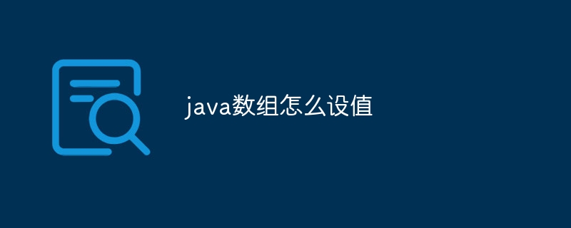 java数组怎么设值