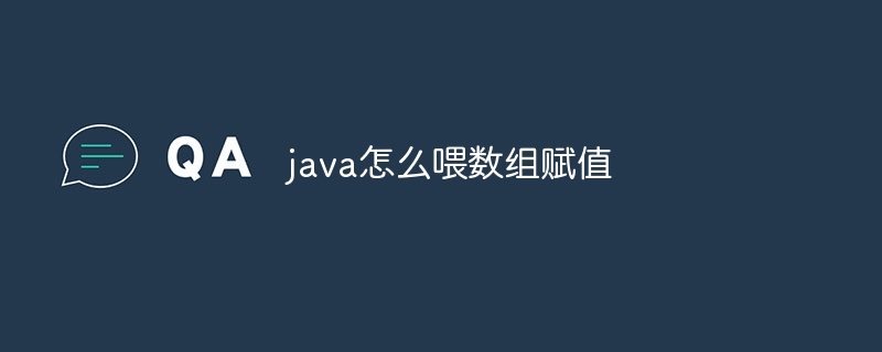 java怎么喂数组赋值 - 小浪云数据