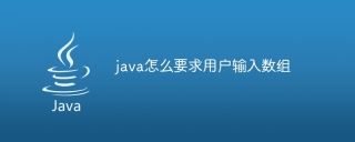 java怎么要求用户输入数组