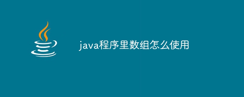 java程序里数组怎么使用