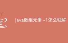 java数组元素 -1怎么理解
