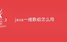 java一维数组怎么用