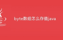 byte数组怎么存值java