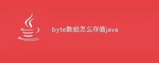 byte数组怎么存值java