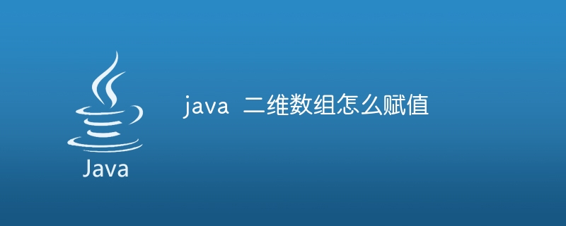 java  二维数组怎么赋值