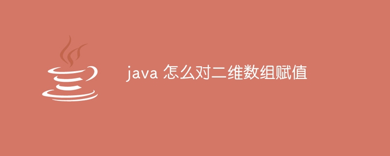 java 怎么对二维数组赋值