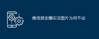 微信朋友圈实况图片为何不动
