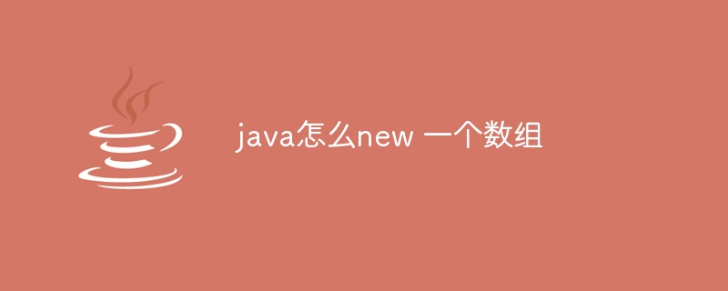 java怎么new 一个数组 - 小浪资源网