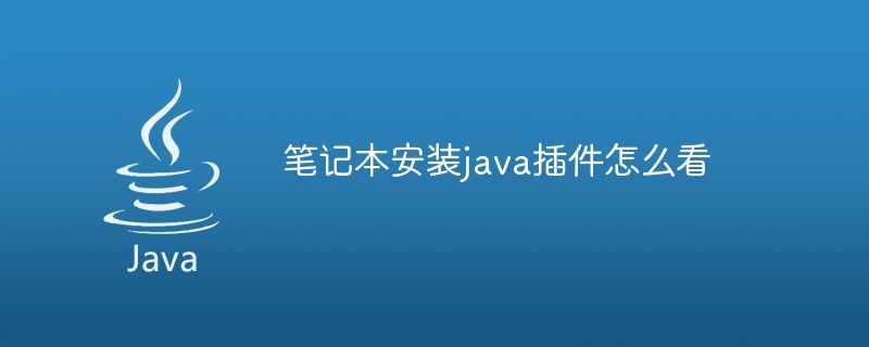 笔记本安装java插件怎么看 - 小浪资源网