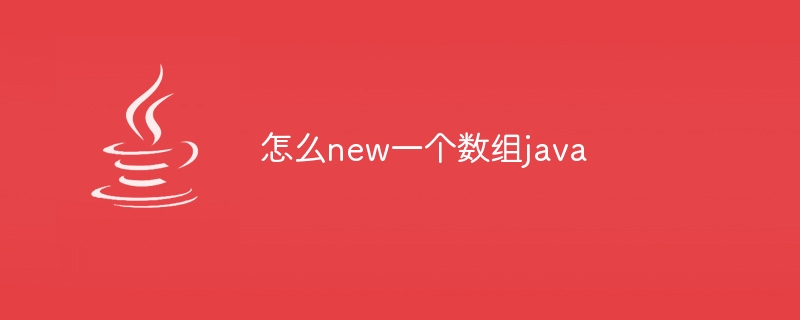 怎么new一个数组java