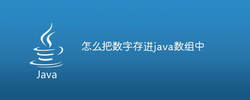 怎么把数字存进java数组中 - 小浪资源网