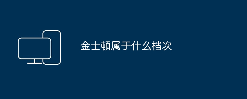 金士顿属于什么档次