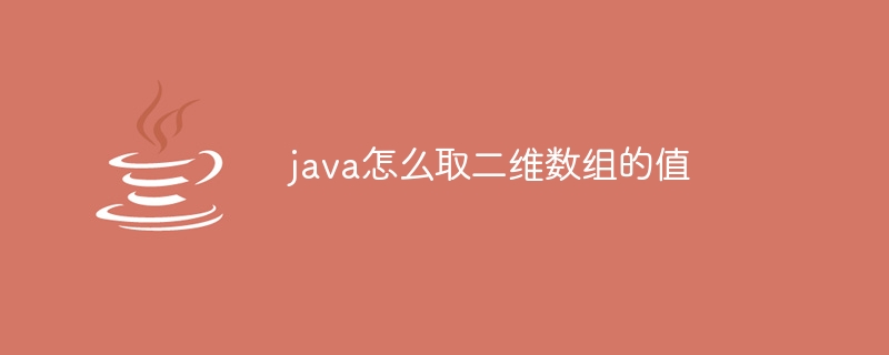 java怎么取二维数组的值 - 小浪资源网