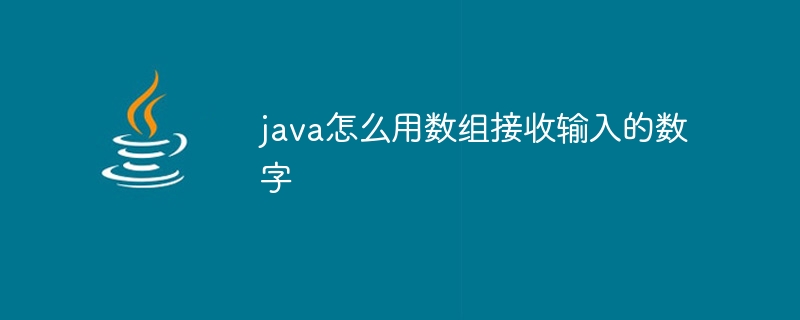 java怎么用数组接收输入的数字 - 小浪资源网