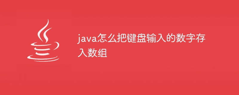 java怎么把键盘输入的数字存入数组 - 小浪资源网