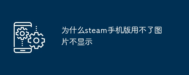 为什么steam手机版用不了图片不显示