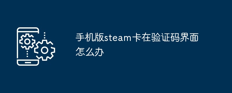 手机版steam卡在验证码界面怎么办