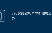 cad快捷键和命令不能用怎么办