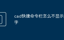 cad快捷命令栏怎么不显示文字