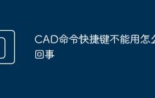 CAD命令快捷键不能用怎么回事