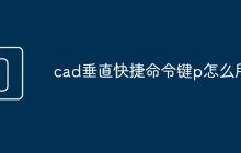 cad垂直快捷命令键p怎么用