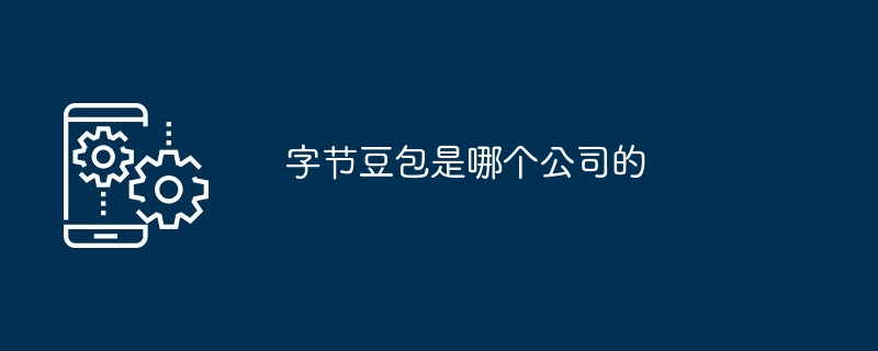 Byte Beanbao はどこの会社ですか?