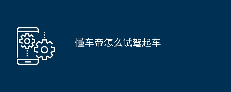 懂车帝怎么试驾起车