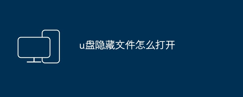 u盘隐藏文件怎么打开