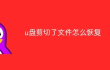 u盘剪切了文件怎么恢复