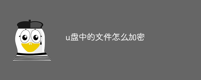 u盘中的文件怎么加密 - 小浪资源网