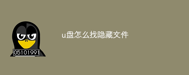 u盤怎么找隱藏文件