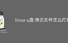 linux u盘 拷贝文件怎么打开