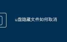 u盘隐藏文件如何取消